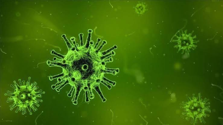 عاجل..اليابان تعلن عن اكتشاف طريقة جديدة مرعبة لانتقال العدوى بفيروس كورونا غير اللمس والسعال والعطس وتوجه تحذير شديد اللهجة وهذا هو الحل "تفاصيل مروعة"