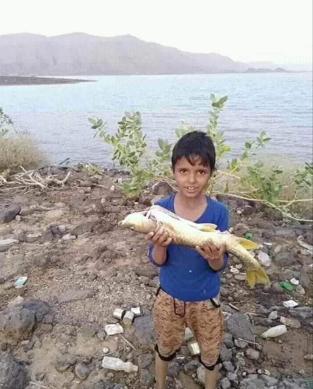 شاهد بالصور الواضحة كيف ظهرت الأسماك في صحراء مأرب.. وماذا علق خالد الرويشان