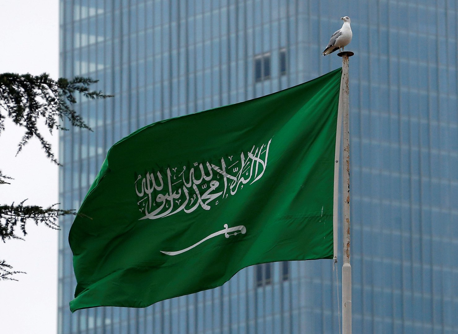 تحذير لجميع المغتربين .. تغريم وترحيل أي مقيم يتحدث أو يناقش بهذه الامور داخل السعودية !!