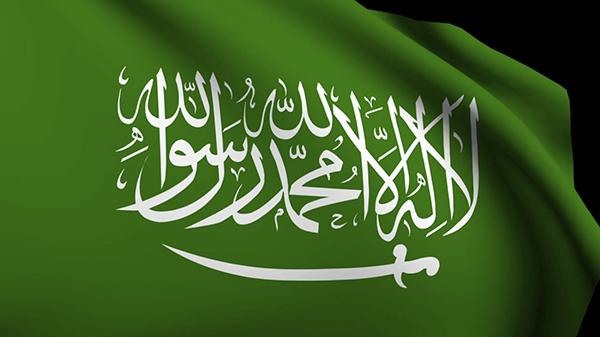 رسميا : اعفاء مواطني هذه الدولة من التأشيرة الإلكتروني لدخول السعودية