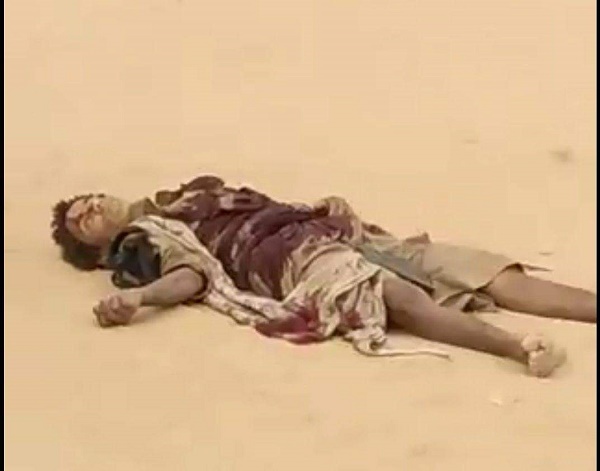 جميح يطلب بشكل ٍ عاجل وطارئ نداء استغاثة لطارق صالح وجبهة الساحل الغربي لسحق الحوثيين في مأرب 