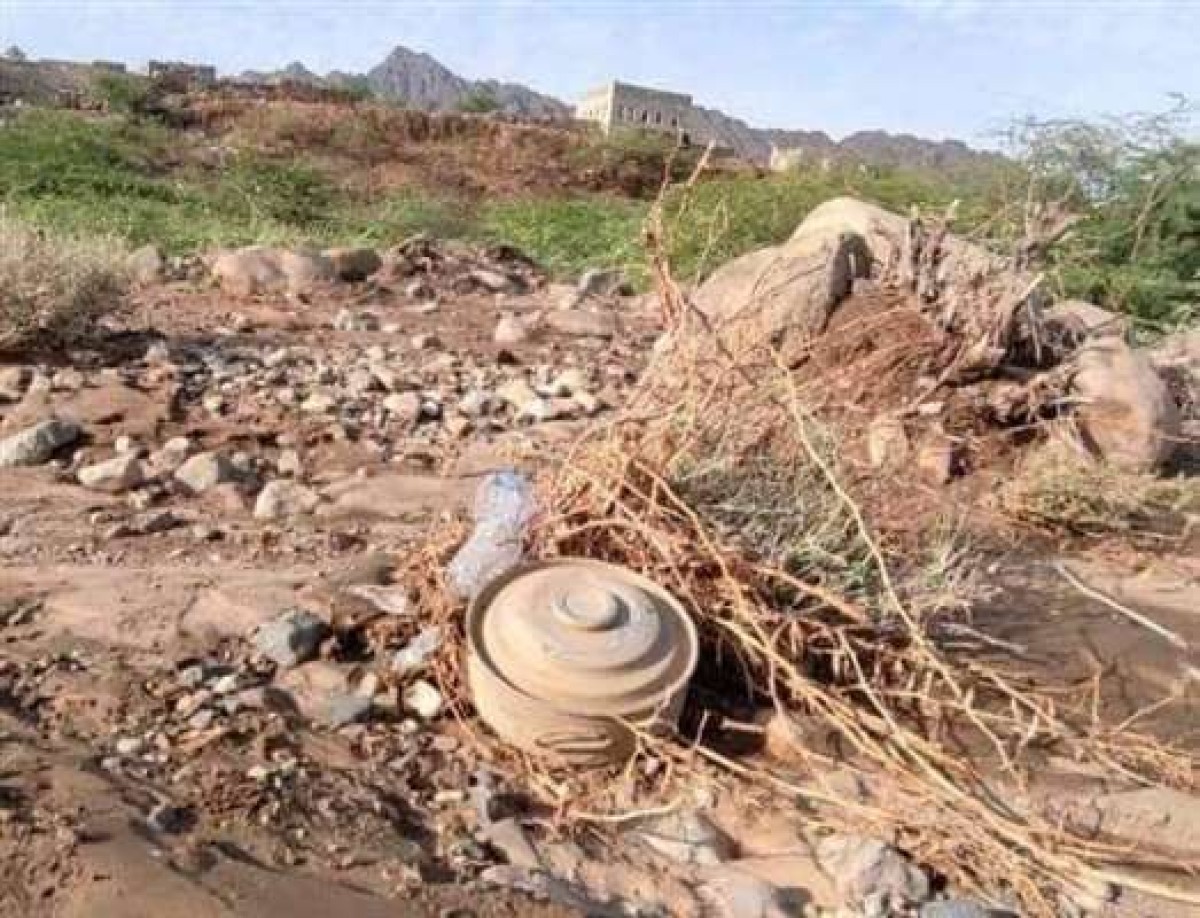 الحديدة : مقتل 4 مدنيين بينهم طفل بانفجار لغم من مخلفات الحوثيين في الدريهمي