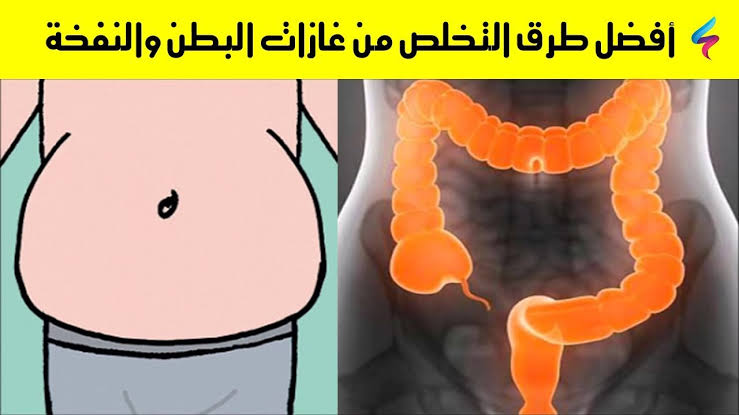البذور المعجزة.. حفنة واحدة منها تخرج جميع الغازات المتراكمة في البطن تزيل الإنتفاخات طبيعيا وتقوي المفاصل والعظام بقوة