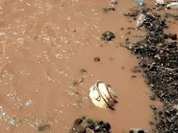 السيول تجرف ألغام الحوثي وسلاحف نادرة في هذه المحافظة
