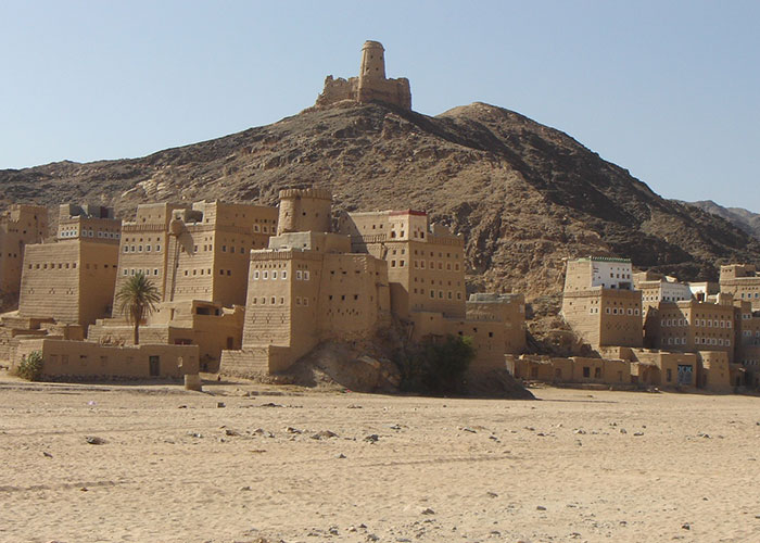 عناصر مليشيا الحوثي تواصل عمليات النهب للممتلكات العامة والخاصة بالجوف