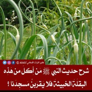 ما معنى قول النبي ﷺ مَن أَكلَ من هَذِه البقلَةَ الخبيثةَ فلا يَقرَبنَّ مَسجِدَنا ؟