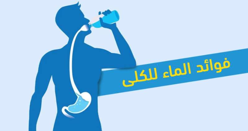 السعودية: استشاري أمراض كلى يحذر من كثرة شرب الماء ويكشف حقيقة "البقدونس" لتفتيت حصوات الكلى