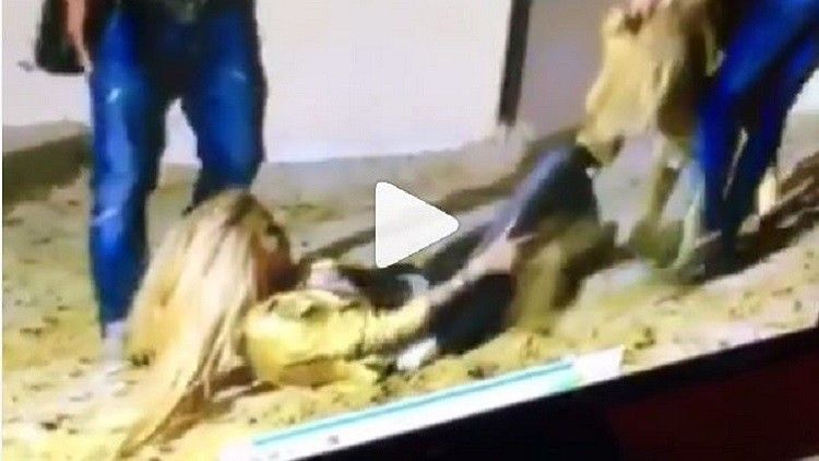 عاجل وفي غاية الخطورة  : أسد غاضب يلتهم عروسة بسرعة البرق أمام عريسها .. وحين خذلها زوجها وتركها للأسد يمزق جسدها ..شاهد ماحدث وقلب الأمور رأساً على عقب (فيديو)