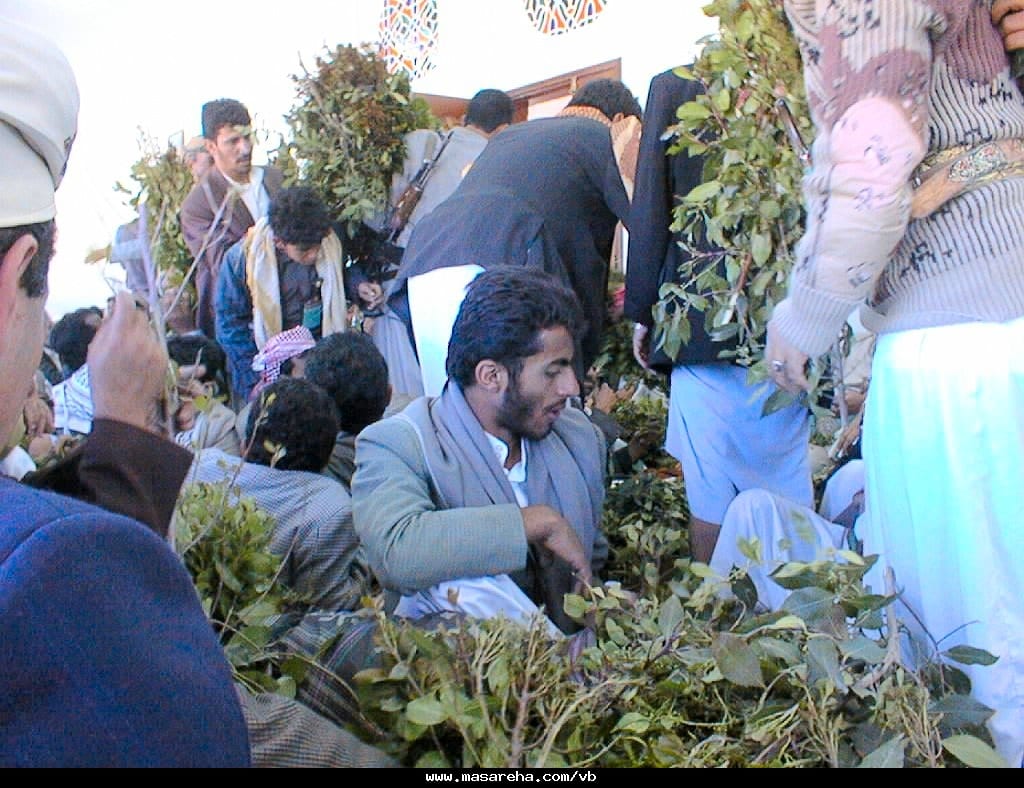 كما ورد بتفاصيل جديدة  : قرار حكومي باغلاق اسواق القات في هذه المحافظات بسبب كورونا