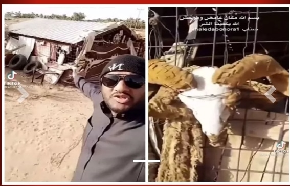 شاهد سُعودي عثر على “عشة” مهجورة وسط الصحراء وعندما اقترب منها حدثت المفاجأة الصادمة
