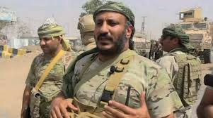 عاجل: "طارق صالح" يوجه رسالة لدولة الامارات والسفير احمد علي .. تفاصيل