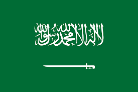 خبراء: مبادرة الشرق الأوسط الأخضر تعزّز رؤية السعودية في حماية البيئة