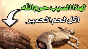 لماذا نهانا الرسول ﷺ عن أكل لحم الحمير واعتبرها فسق وفجور ؟ وماذا يحدث لجسدك إذا أكلتها ؟ 