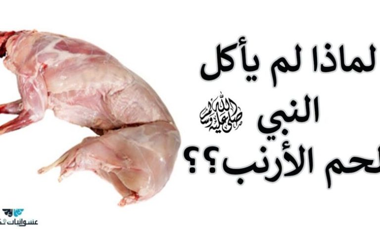 هل تعلم ما هي فوائد لحم الأرنب ولماذا لم يأكل منه الرسول صلى الله عليه وسلم .. مفاجأة!