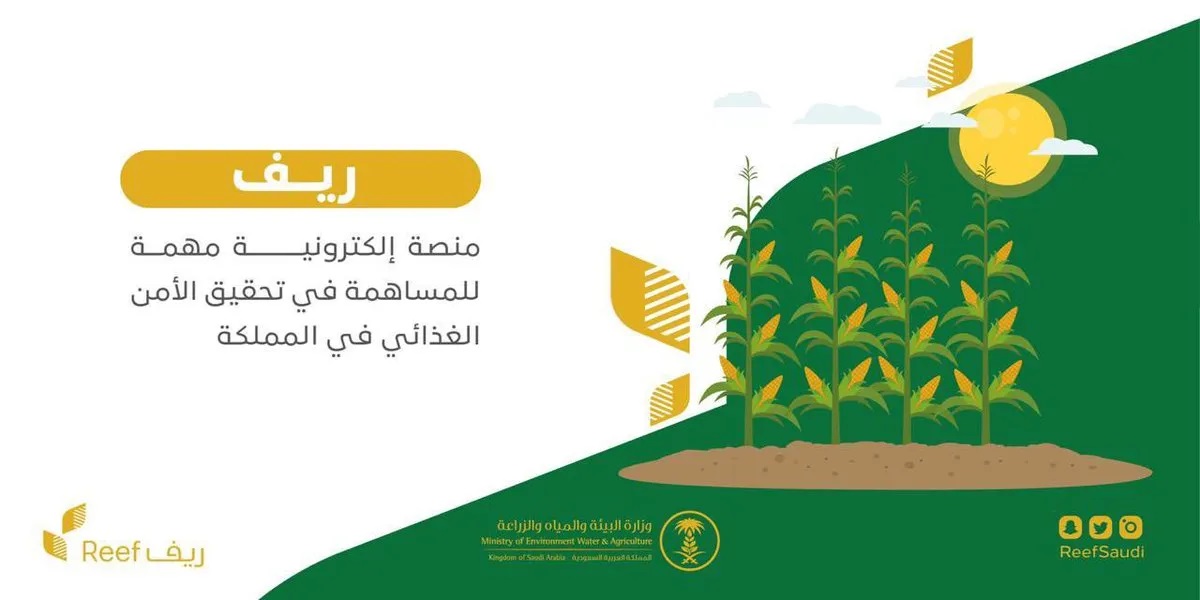 السعودية .. إليك طريقه تسجيل دعم ريف ١٤٤٤ برقم الهوية والشروط