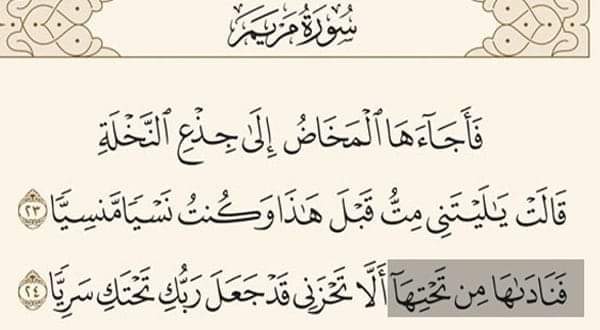 من هو المنادي الذي نادى مريم فى قوله "فناداها من تحتها" ..؟