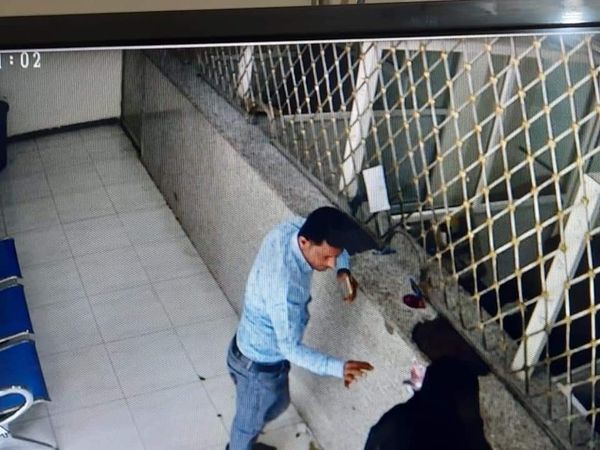  شاهد..جريمة جديدة في "إب" ..هذا ما حدث لزوجة مغترب بعد استلامها لحواله مالية من محل للصرافة !(صور)