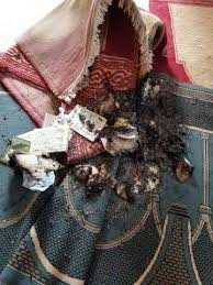 احرق مصاحف المسجد واقتحم منزل فلقى مصرعه مباشرة .. شاهد بالصور تفاصيل جريمة غريبة وقعت بالحديدة